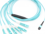 Пачах пӗтӗм кӑмӑл